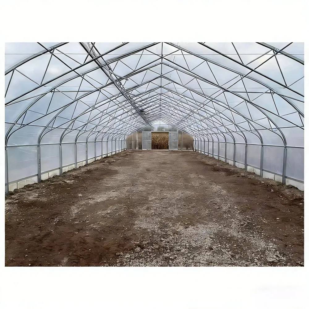 Empty interior of a long single arch tunnel greenhouse with a soil floor