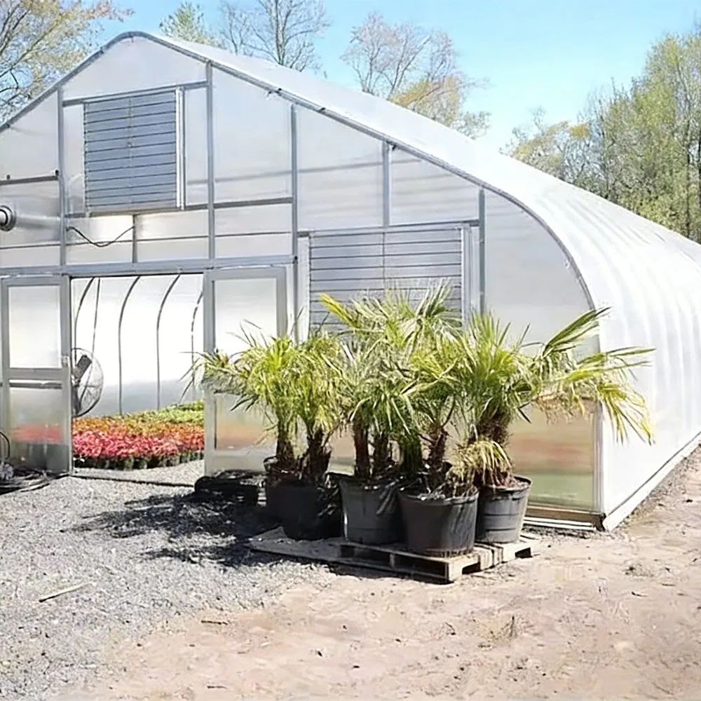 Entrance of a film tunnel greenhouse with potted palms and flowers standing outside