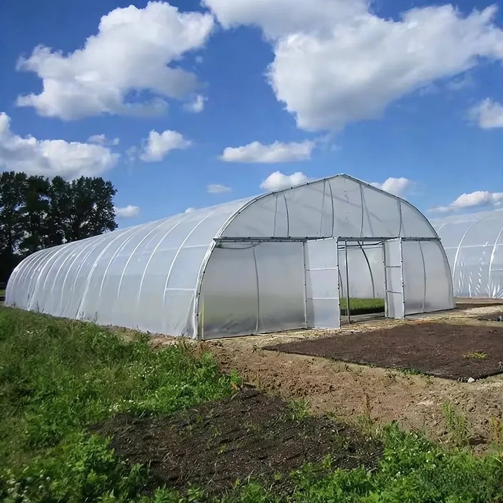 Long single arch film tunnel greenhouse standing beside a field under a blue sky
