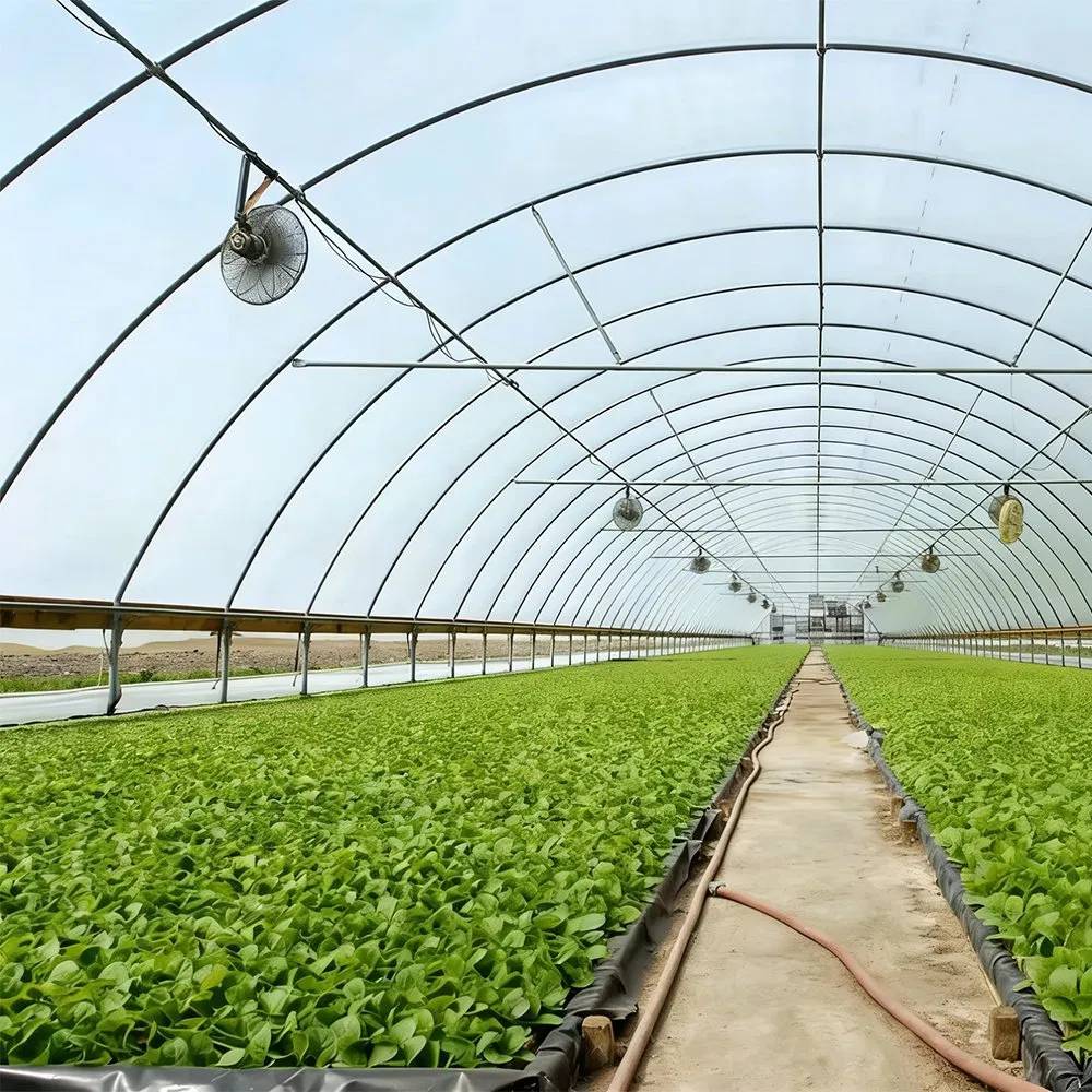 Interior of a film tunnel greenhouse with seedling beds and lamps hanging over the rows