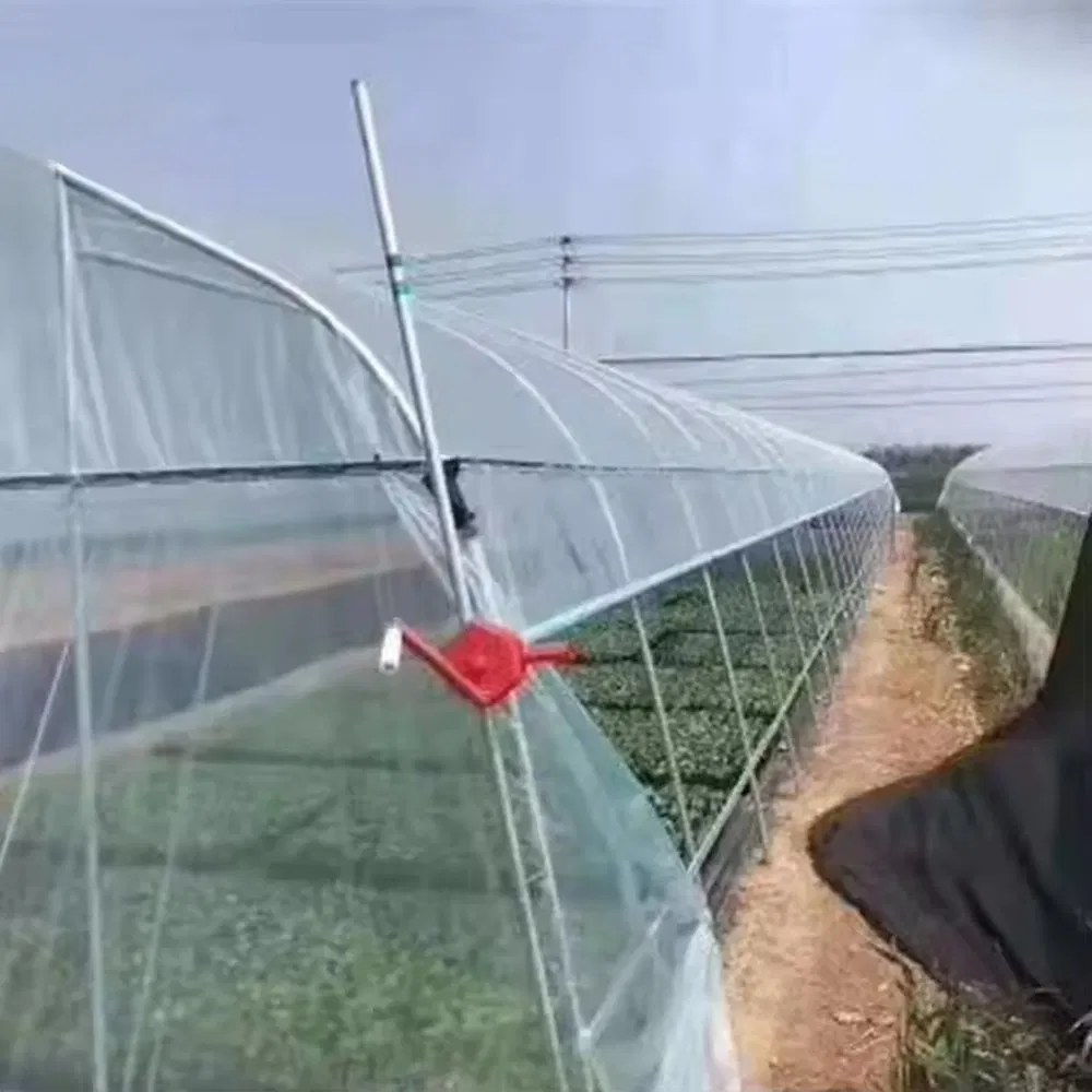 Tunnel greenhouse frame and film cover seen from the side