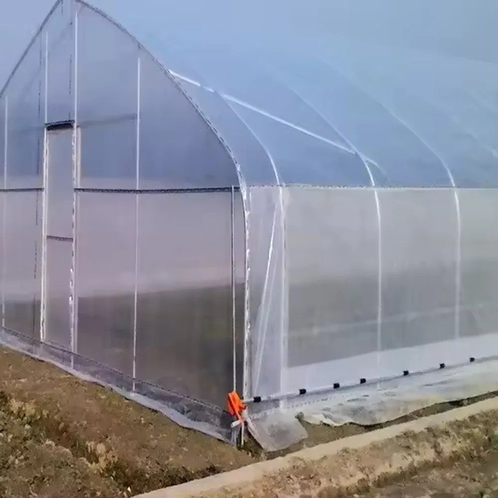 Side view of a film tunnel greenhouse with visible frame ribs