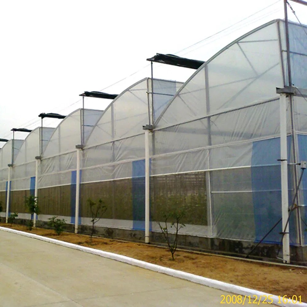 Long glass greenhouse range lit from inside at dusk