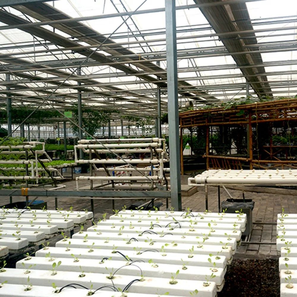 Working area and benches inside a multi span greenhouse