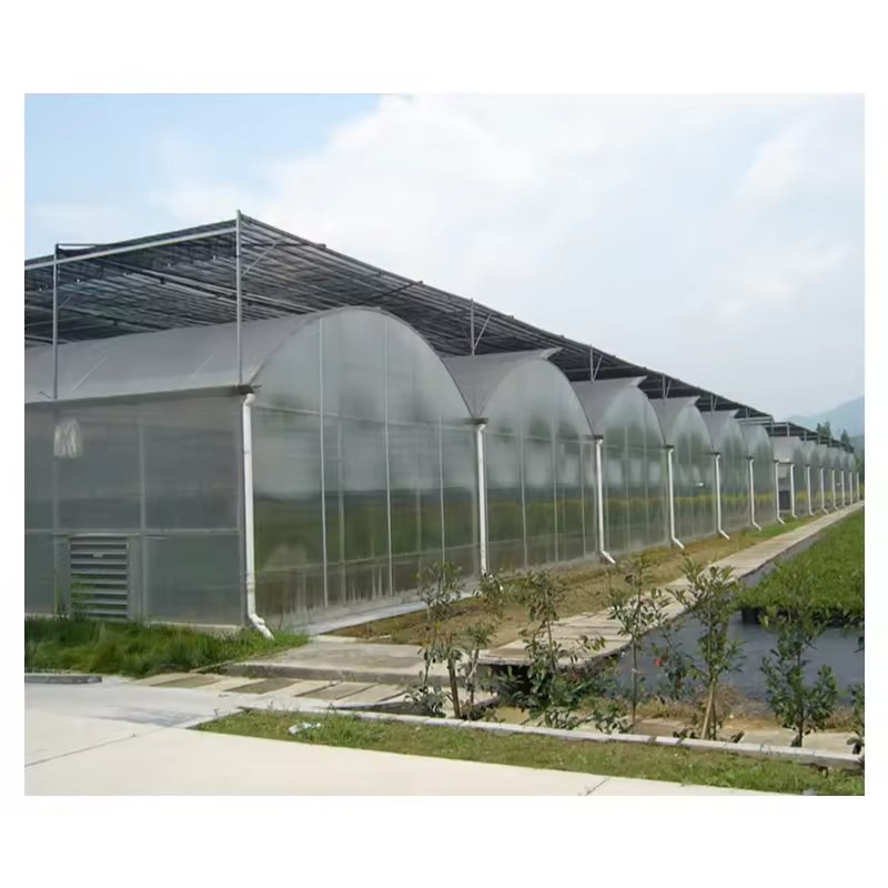 A row of gothic arch greenhouses running beside a water channel