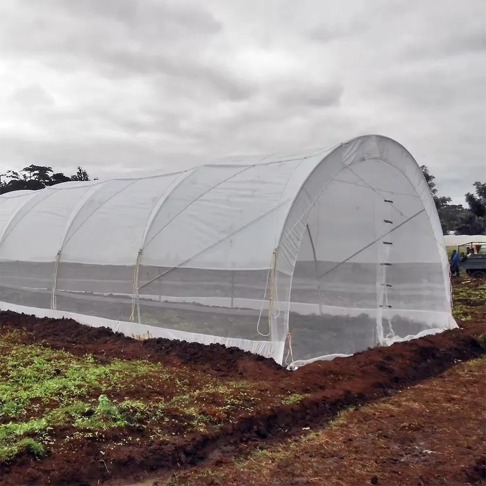 Gothic Single Span Commercial High Tunnel Greenhouse Built to Order