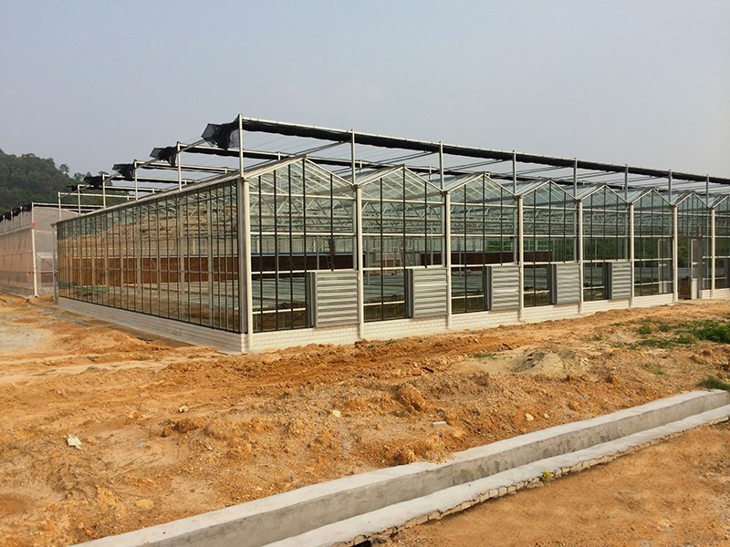 Intelligent 8mm Glass Vertical Farming Greenhouse for Commercial Use