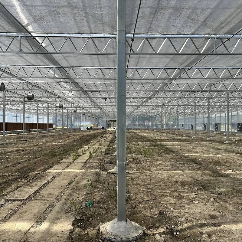 Empty glass greenhouse with a soil floor ready for benches and crops