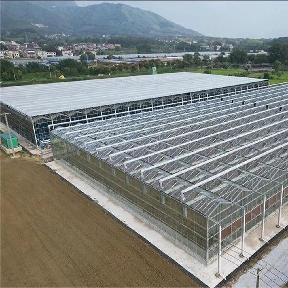 A large glass greenhouse range seen from an elevated position
