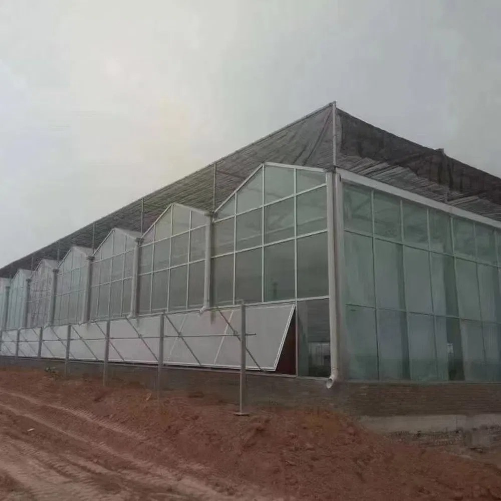 High Transparency Tempered Glass Greenhouse with Custom Span for Farms