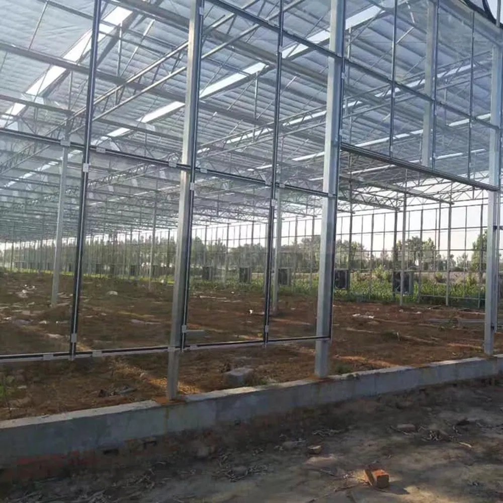 Interior frame and glazing of a glass greenhouse seen from the floor