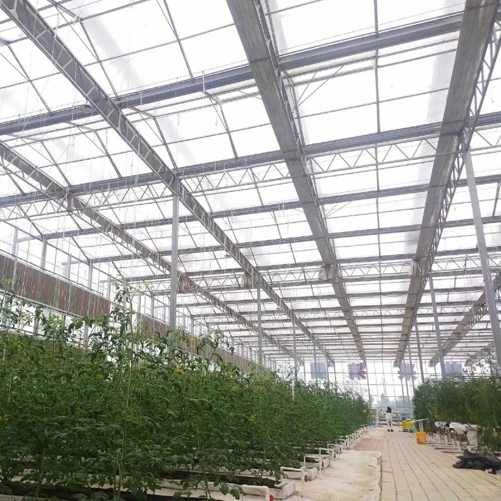 Interior of a glass greenhouse showing the glazing bars and roof structure