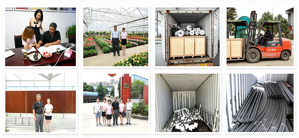 Greenhouse factory yard with packed frames and shipping containers