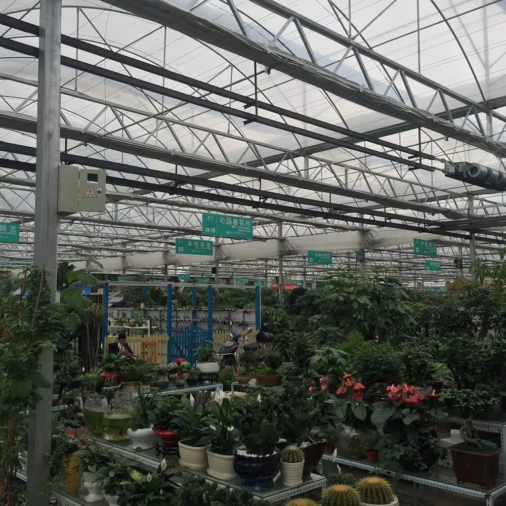 Glass Greenhouse with Galvanized Steel Frame for Nursery Growers