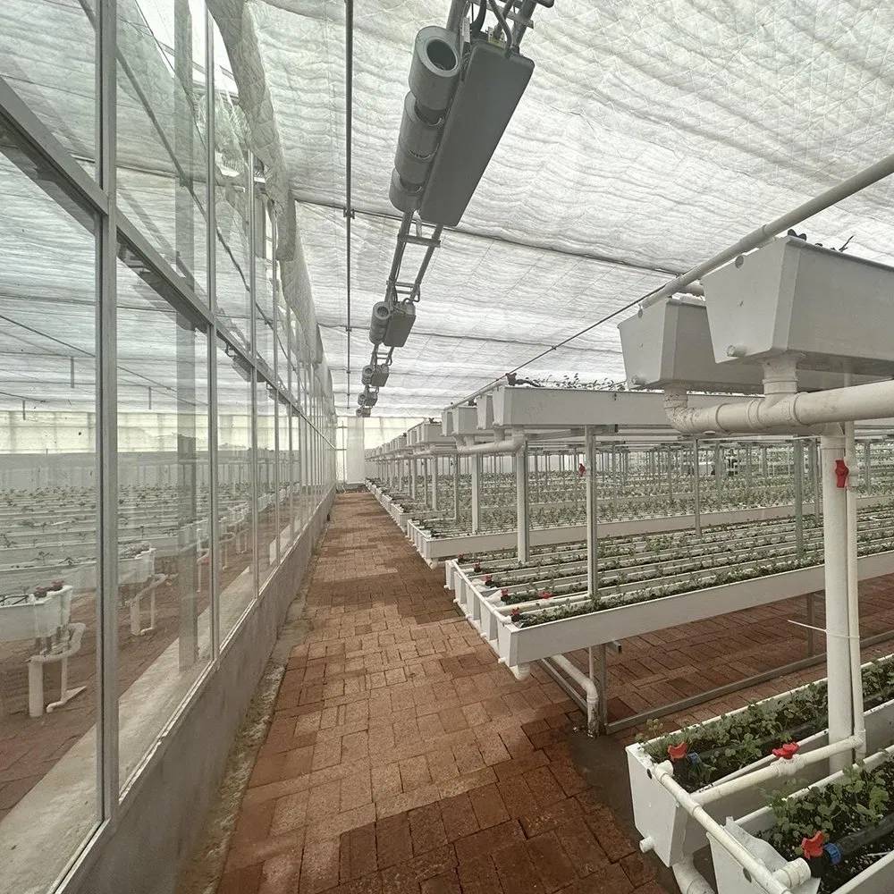 Benches and rails inside a glass greenhouse ready for crops