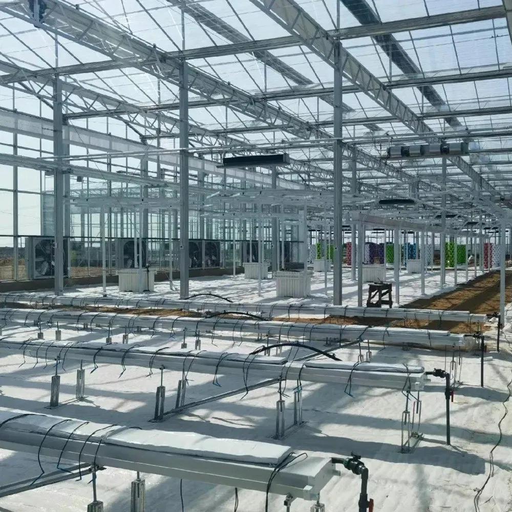 Empty growing gutters and rails inside a glass greenhouse before planting