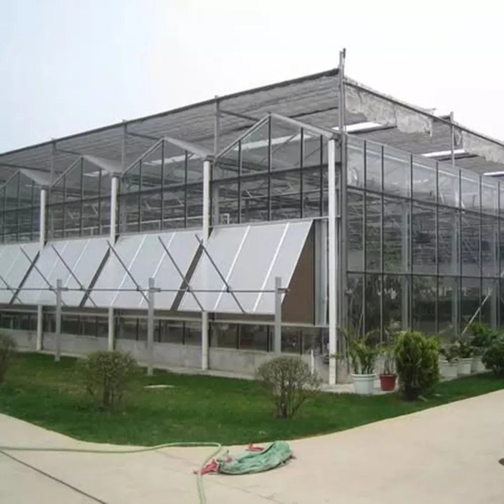 Glass Greenhouse for Small Farms with a 15 by 30 m Starter Bay