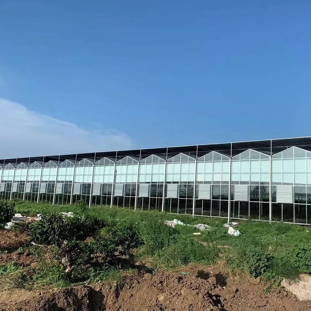 Glass Greenhouse with Steel Frame for Industrial Crop Production