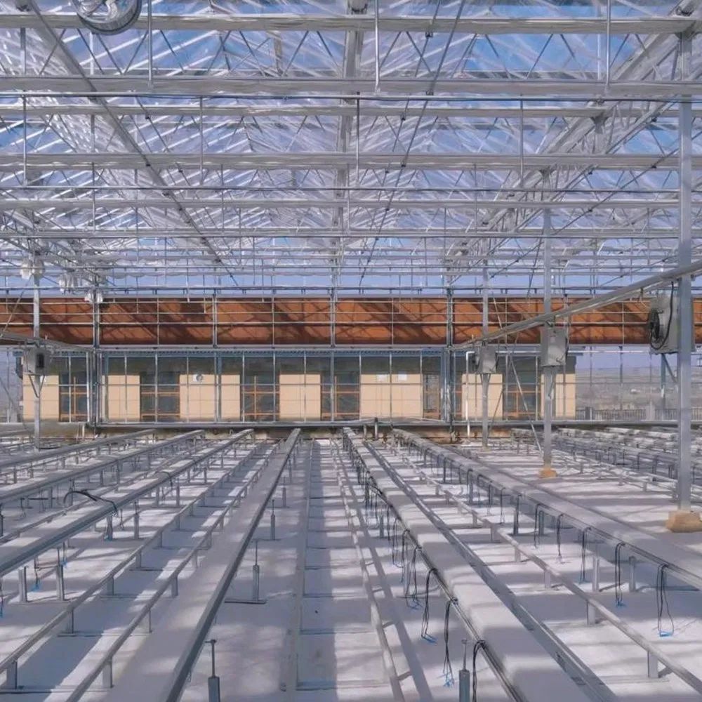 Empty glass greenhouse structure with rows of planting beds prepared