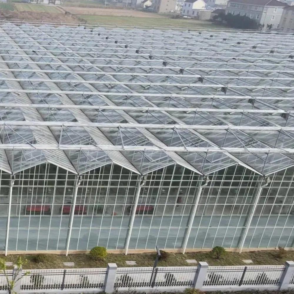 UV Resistant Glass Greenhouse with Roof Vents for Hot and Cold Climates