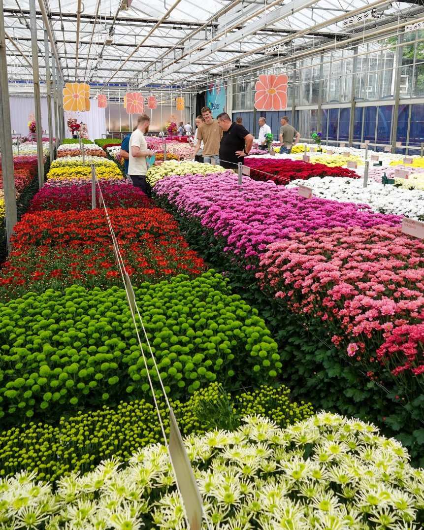 Cut flowers and pot plants displayed under glass at a retail counter
