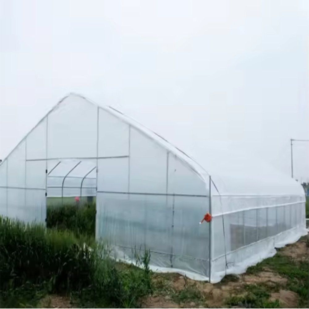 Side view of a PE film tunnel greenhouse with a sloped Gothic roof