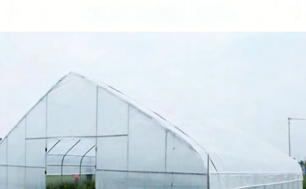 Gothic Hoop House PE Film Greenhouse 6x12 m for Vegetable Farms