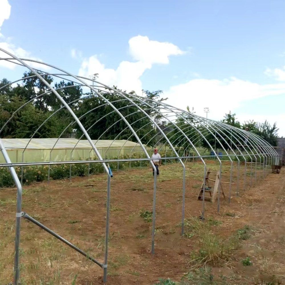Galvanized gothic arch frames standing in a field before the film cover is fitted