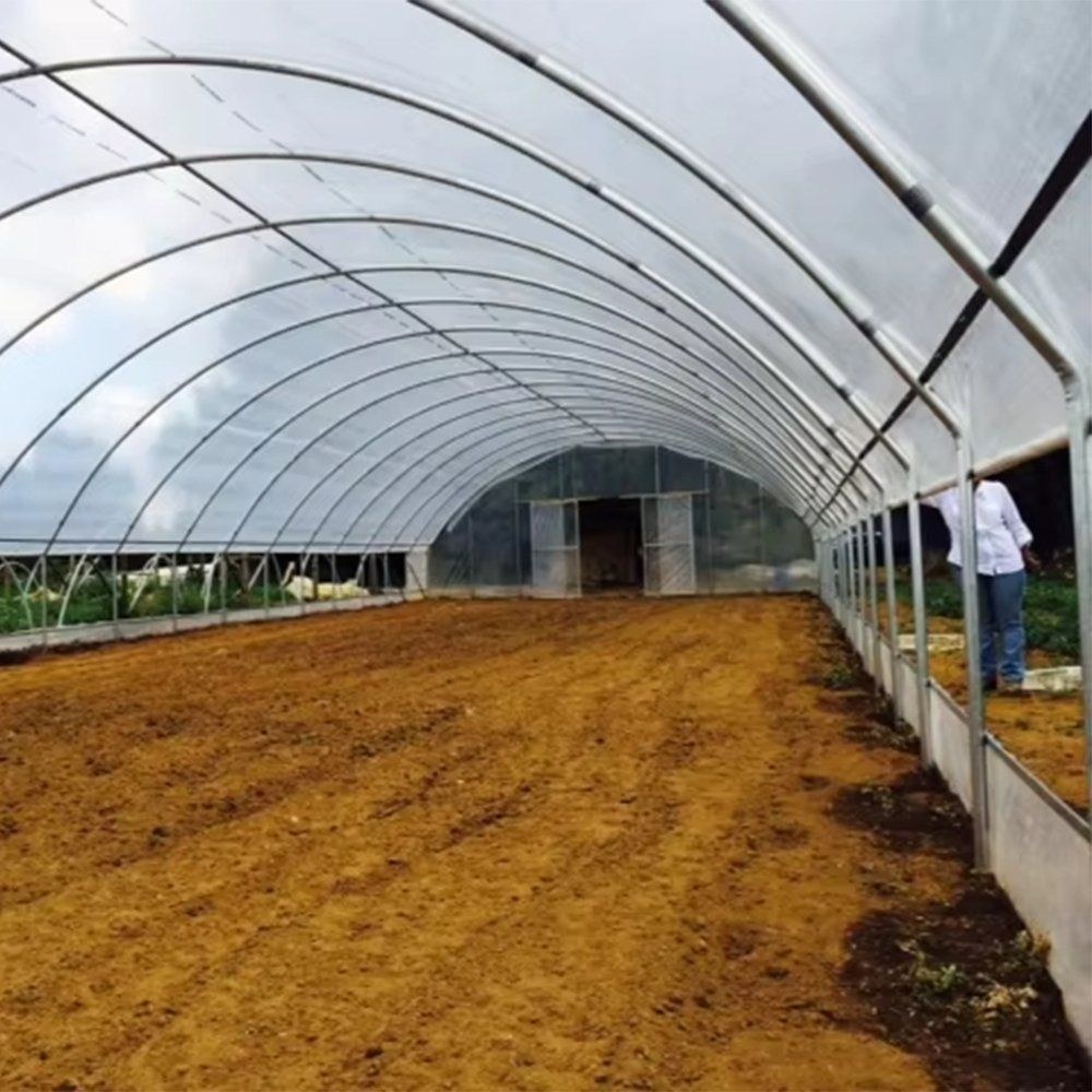 Grower working inside a film covered tunnel greenhouse with raised soil beds