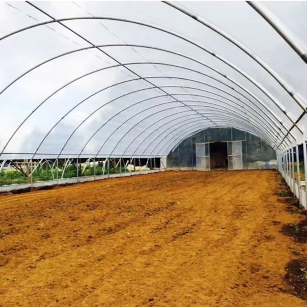 Interior of a gothic arch tunnel with soil beds running the length of the house