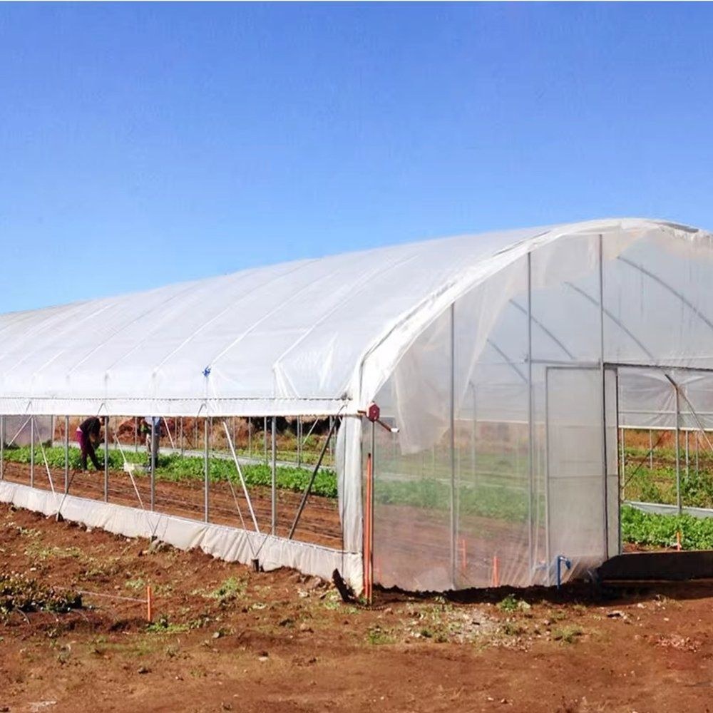 High Tunnel Gothic Greenhouse with 2.5mm Galvanized Steel Arches