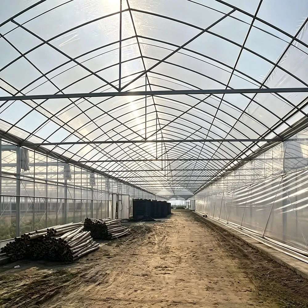 Interior of a hoop house showing the galvanized frame and open floor