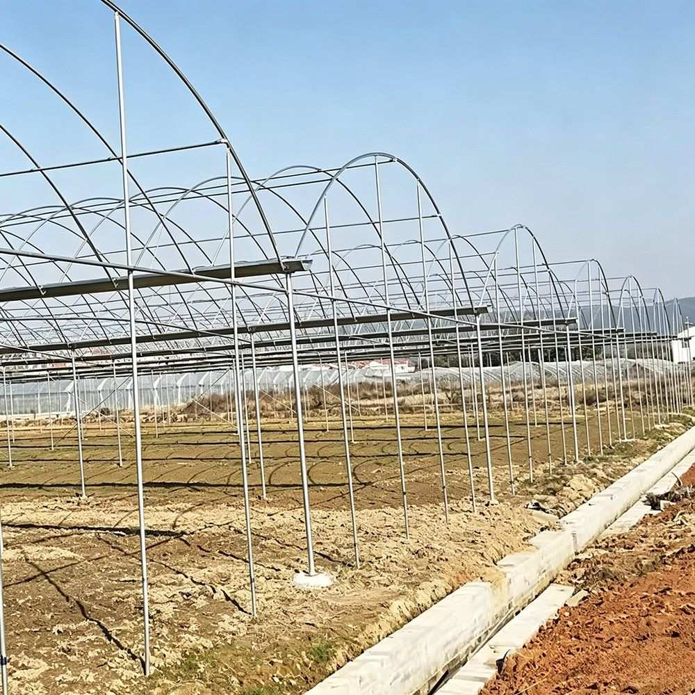 Rows of galvanized tunnel arches set out ready for covering