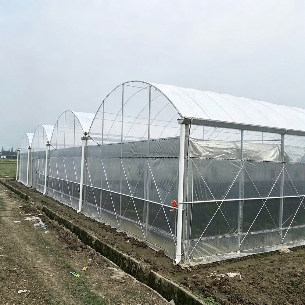Sealed tunnel greenhouse with film cover and closed side walls