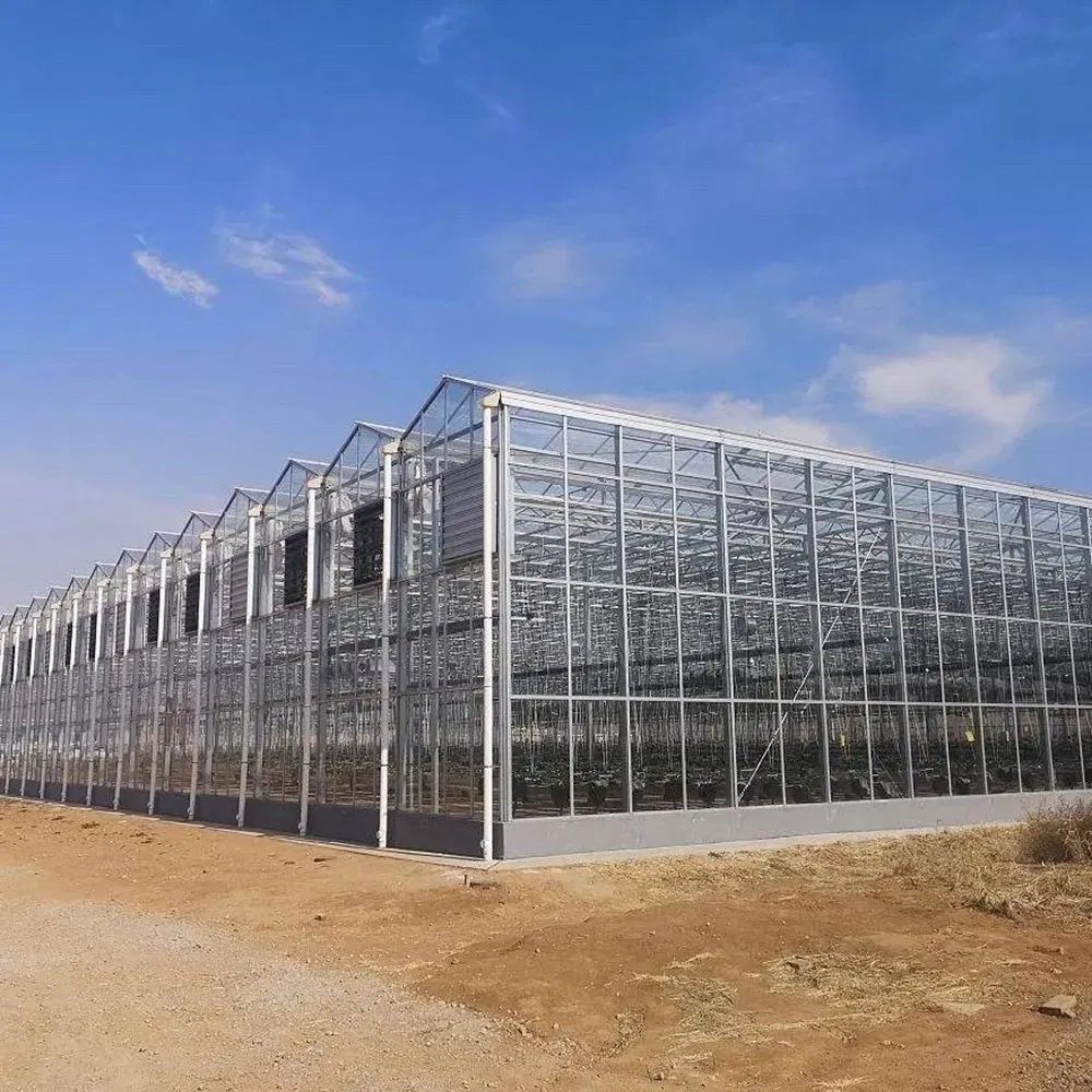 Heavy Duty Multi Span PC Panel Greenhouse for All Climate Cultivation