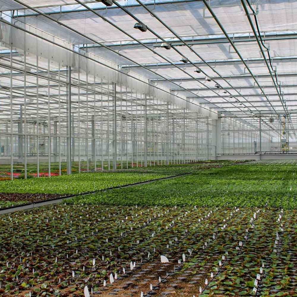 Twin Wall PC Panel Greenhouse for Small Farms and Nursery Owners