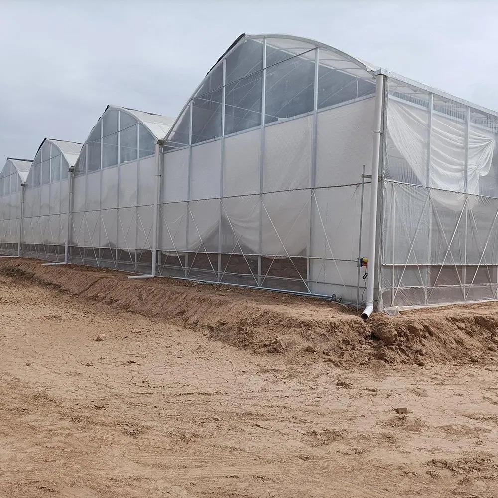 Arched plastic greenhouse standing beside a larger industrial range