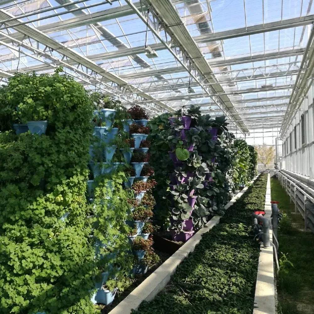 Vertical hydroponic towers inside an industrial polycarbonate greenhouse