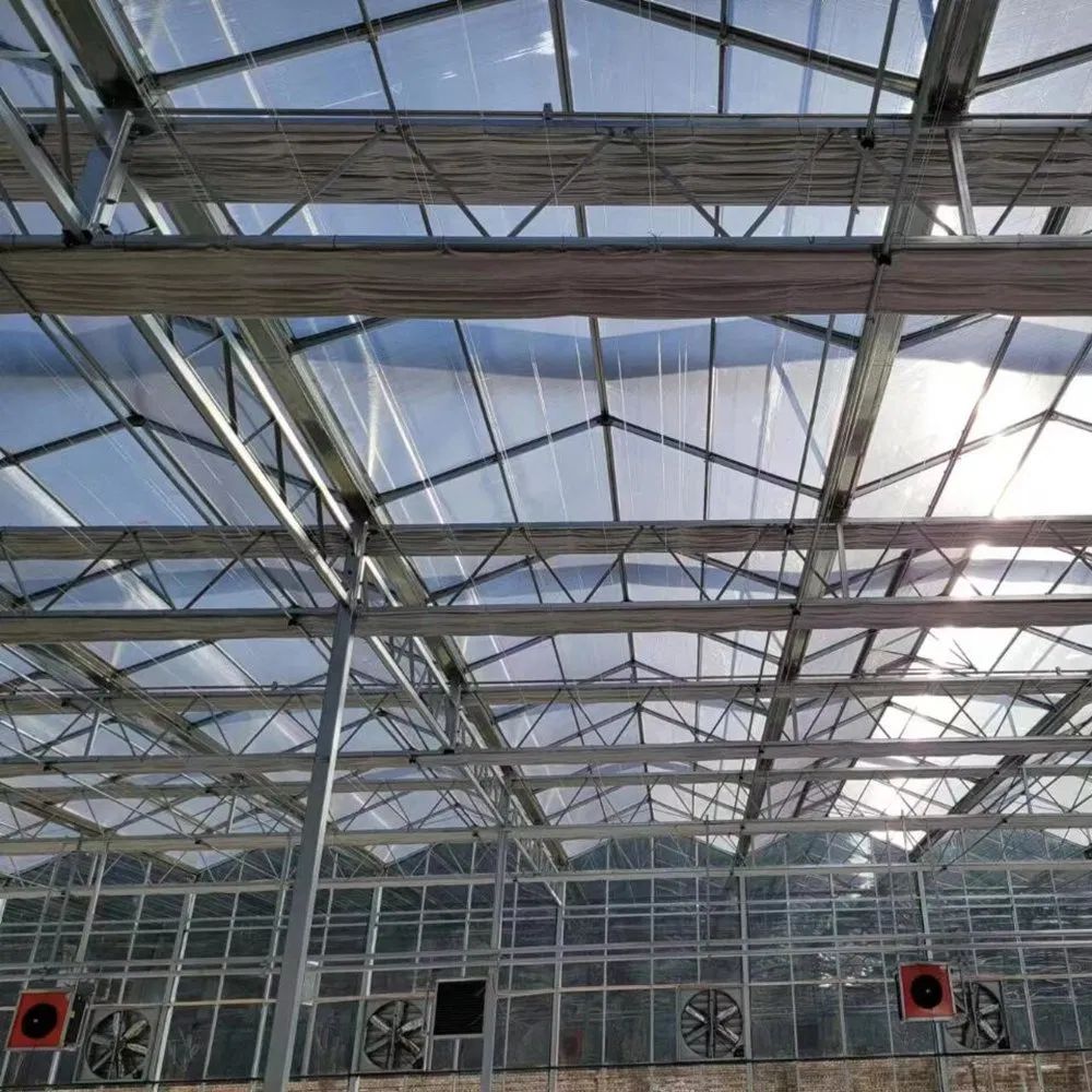 Roof structure and circulation fans inside a large industrial polycarbonate greenhouse