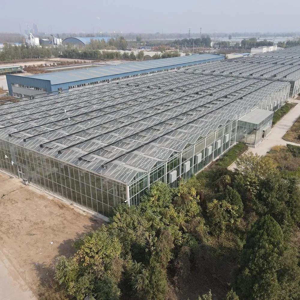 Industrial Multi Span Polycarbonate Greenhouse for Year Round Harvests