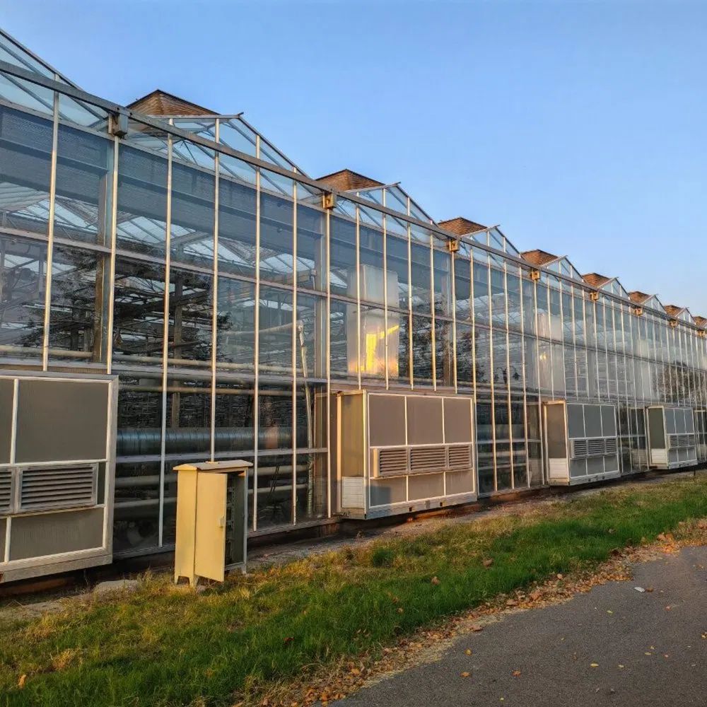 Polycarbonate greenhouse exterior with roof vents open