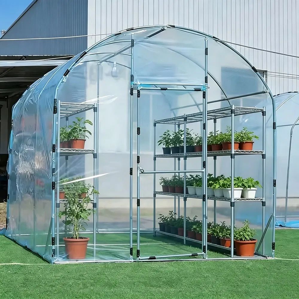 Shelving and potted plants inside a walk in polycarbonate tunnel