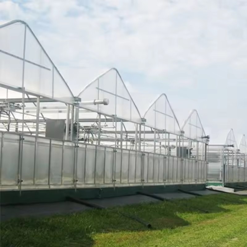 Multi span polycarbonate greenhouse with roof vents seen from outside