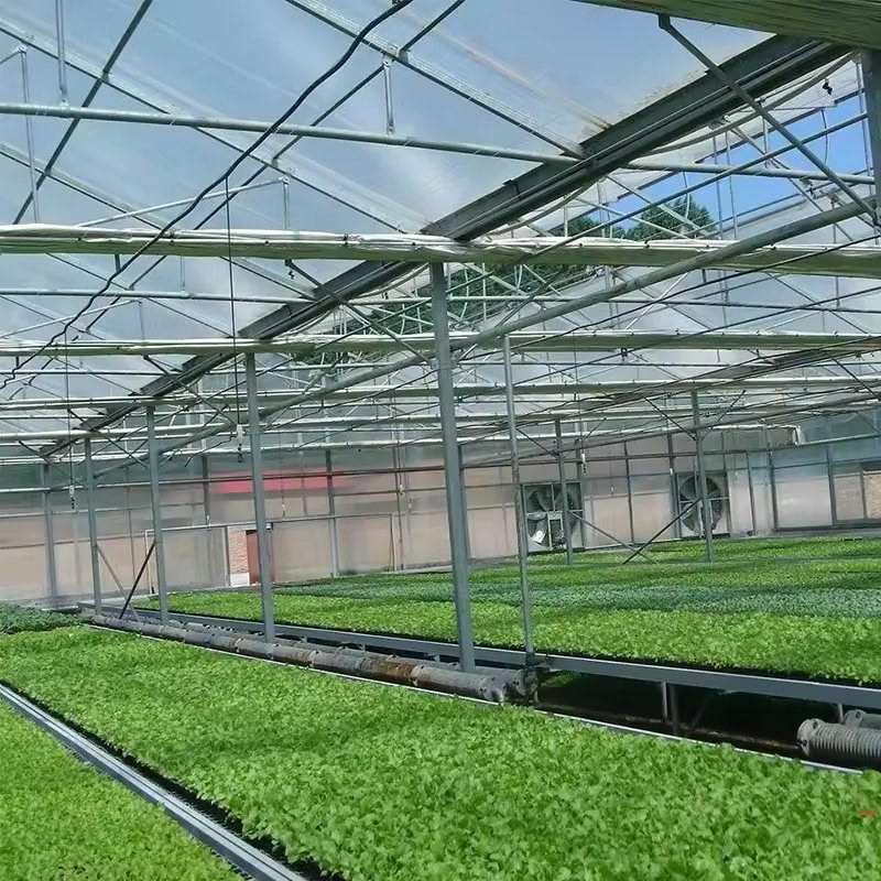 Crop beds and growing channels inside a large polycarbonate greenhouse