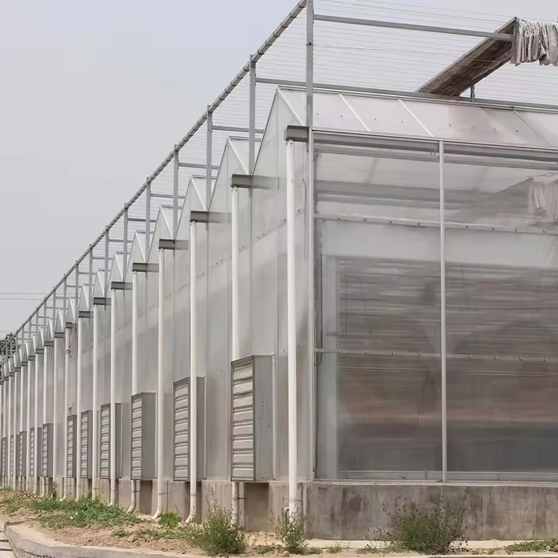 Polycarbonate greenhouse wall with cooling pads and louvre vents
