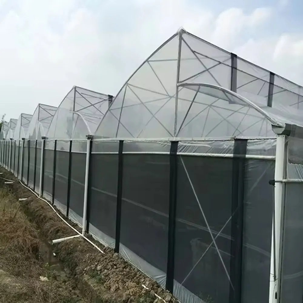 Steel framed film greenhouse beside open water