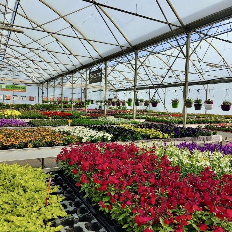 Flower beds and benches under a film greenhouse roof