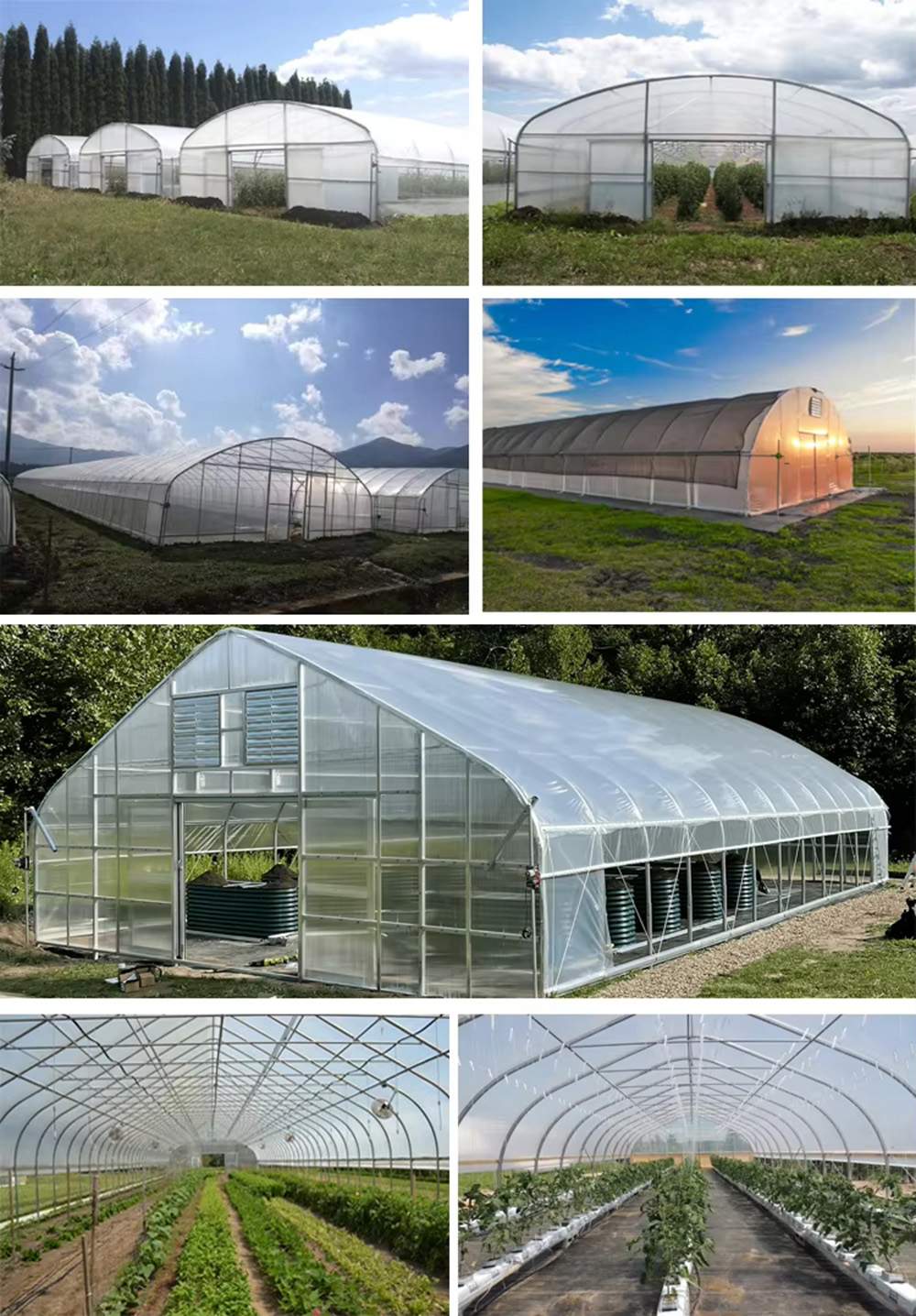 A range of film greenhouses of different spans on one site