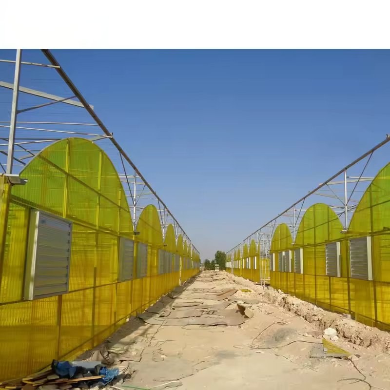 Hydroponic Greenhouse System with NFT Channels for Leafy Greens