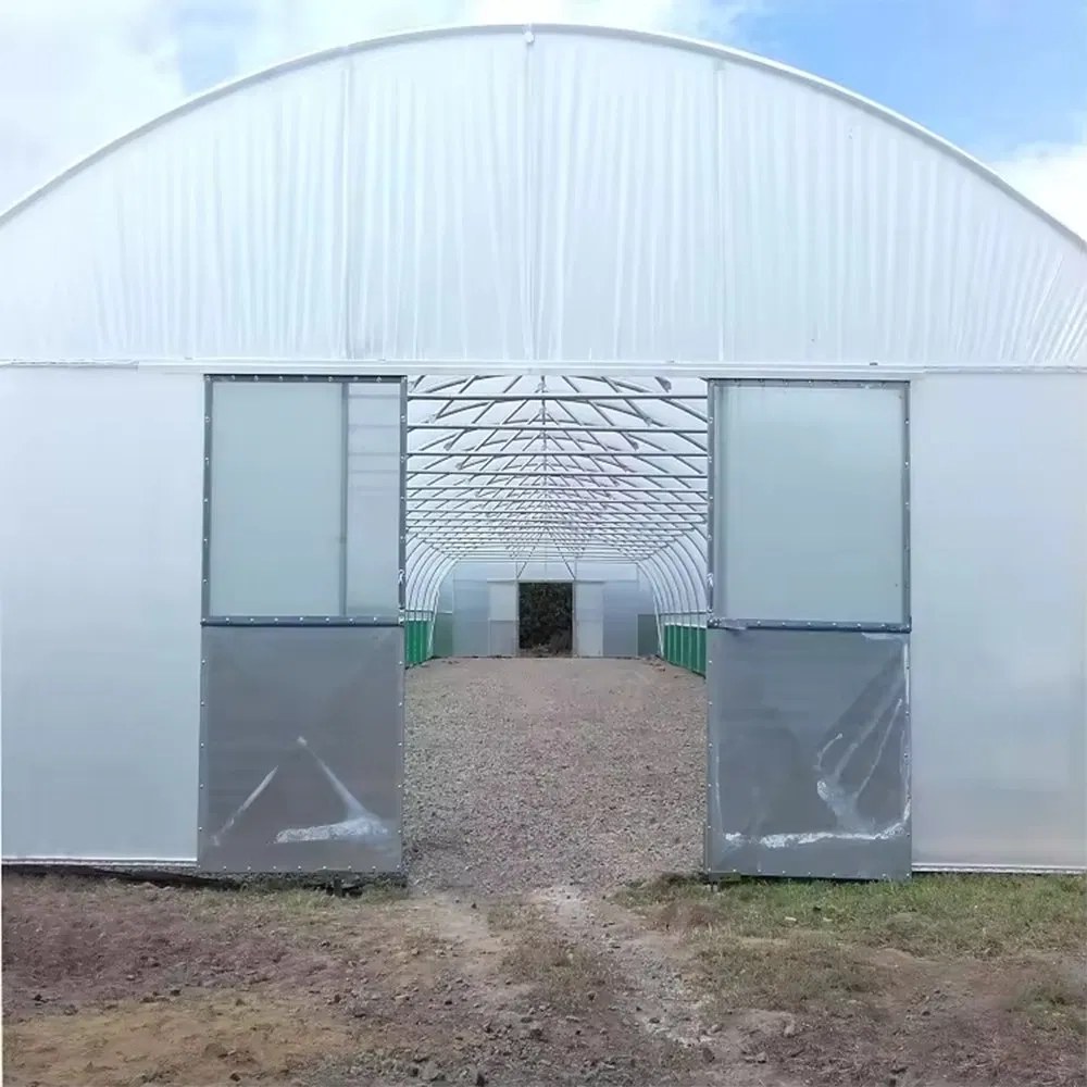 Entrance of a poly tunnel greenhouse with double doors and a clear ridge above